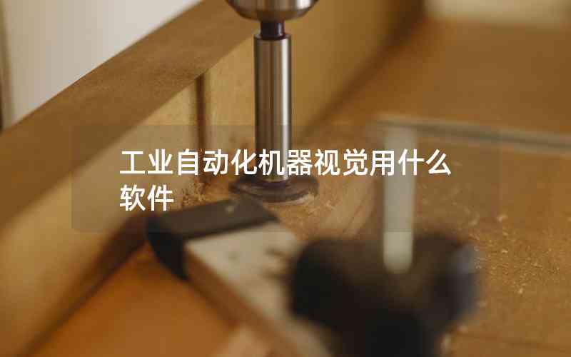 工業(yè)自動(dòng)化機(jī)器視覺用什么軟件