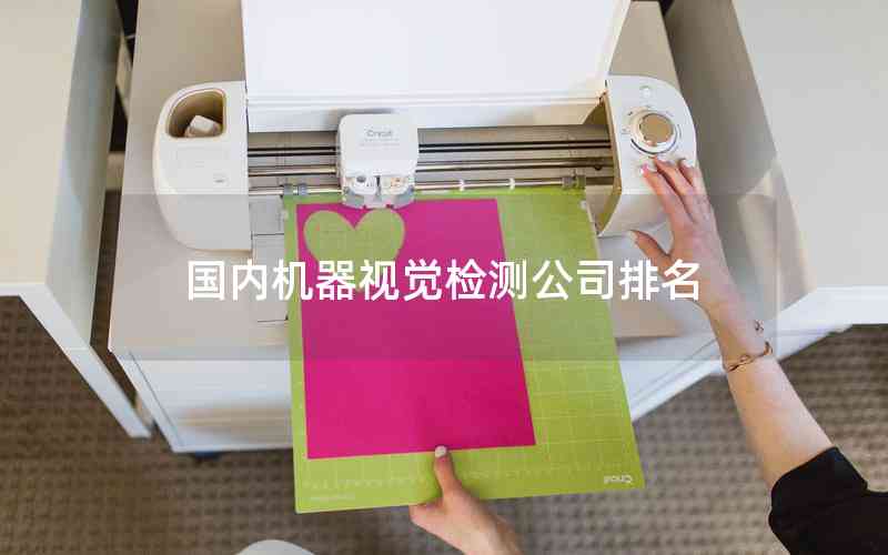 國內(nèi)機(jī)器視覺檢測公司排名