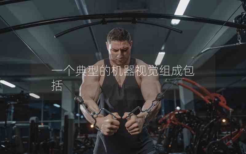 一個典型的機器視覺組成包括