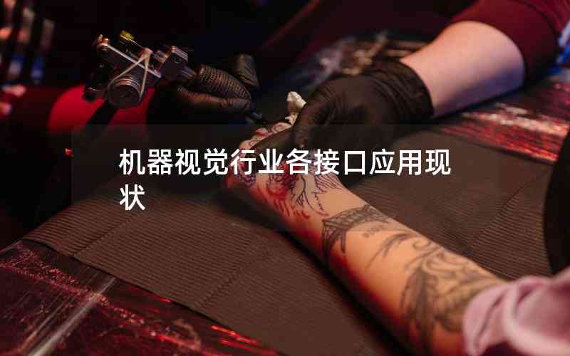 機器視覺行業(yè)各接口應(yīng)用現(xiàn)狀
