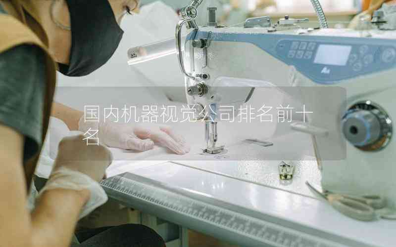 國內(nèi)機(jī)器視覺公司排名前十名