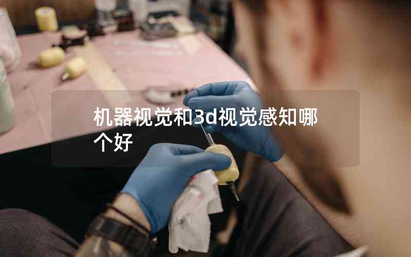 機(jī)器視覺和3d視覺感知哪個好