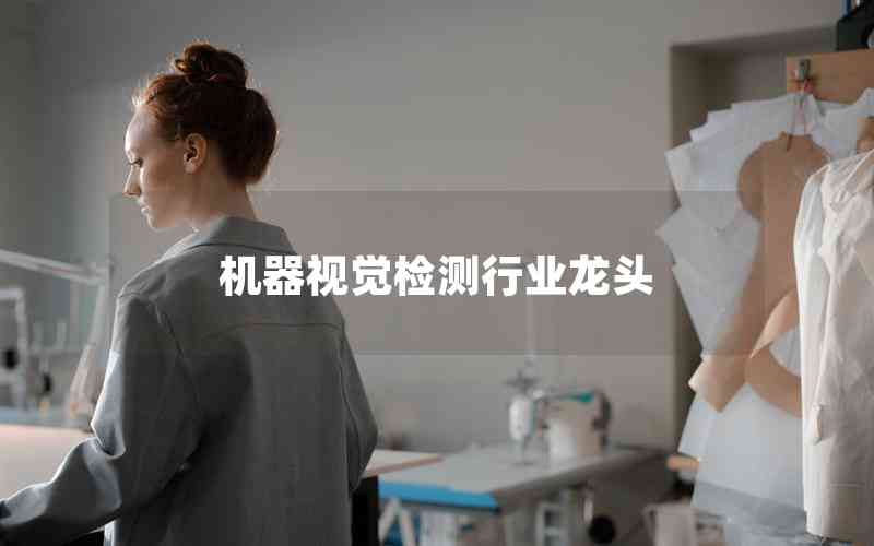 機器視覺檢測行業(yè)龍頭