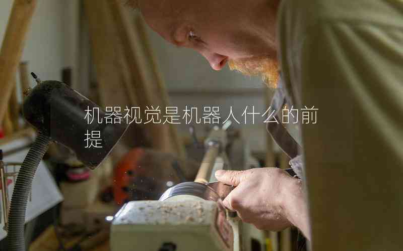 機(jī)器視覺是機(jī)器人什么的前提