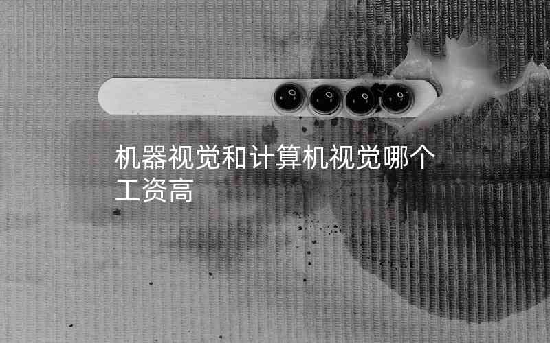 機(jī)器視覺和計算機(jī)視覺哪個工資高