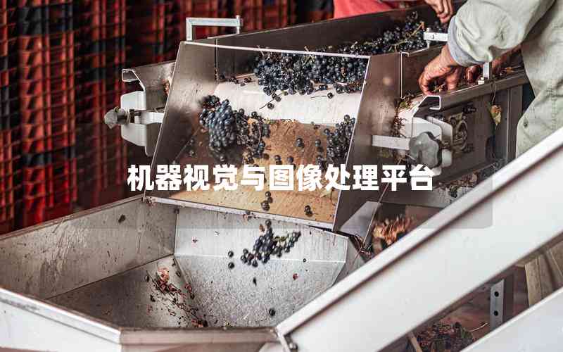 機(jī)器視覺(jué)與圖像處理平臺(tái)