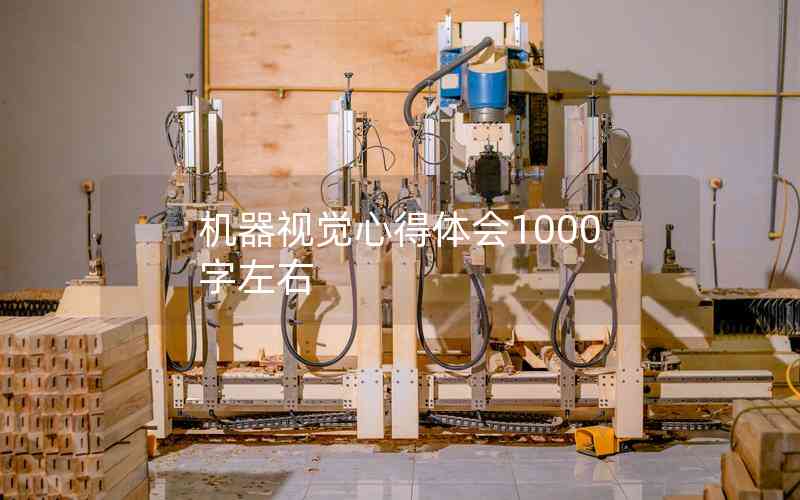 機器視覺心得體會1000字左右
