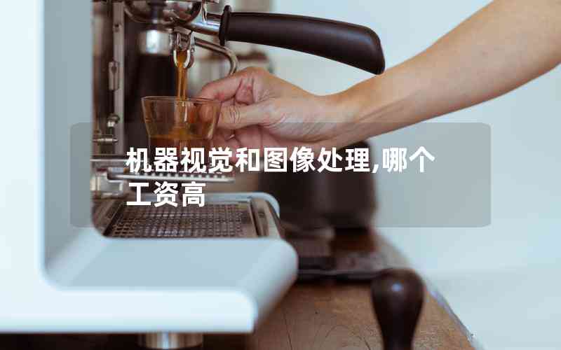 機(jī)器視覺和圖像處理,哪個工資高