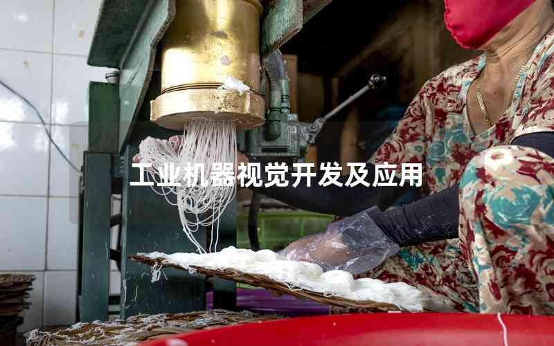 工業(yè)機(jī)器視覺(jué)開(kāi)發(fā)及應(yīng)用