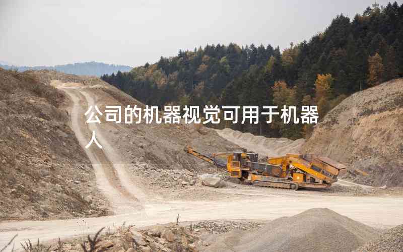 公司的機(jī)器視覺(jué)可用于機(jī)器人