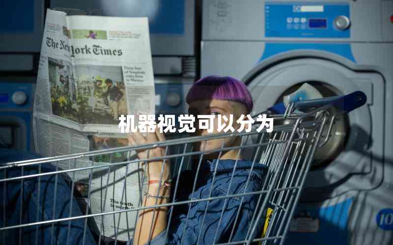 機(jī)器視覺可以分為