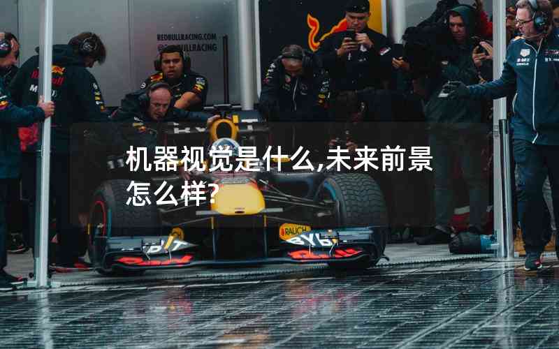 機(jī)器視覺是什么,未來前景怎么樣?