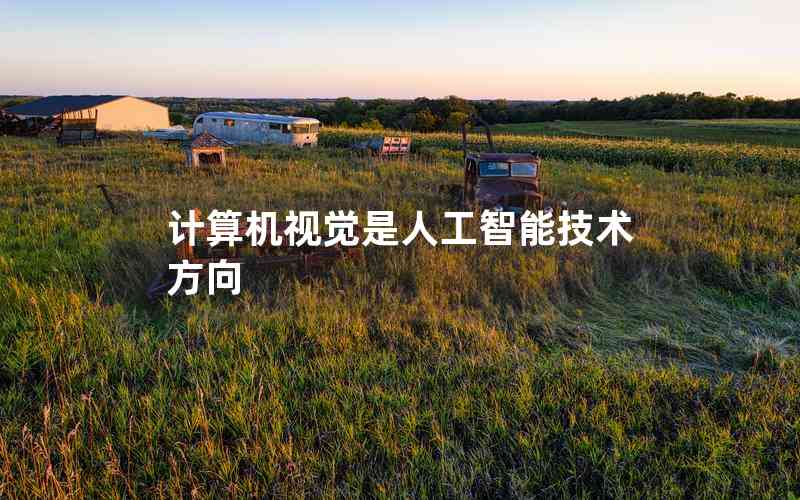 計算機(jī)視覺是人工智能技術(shù)方向
