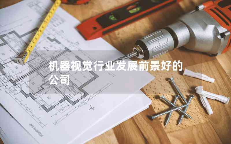 機(jī)器視覺行業(yè)發(fā)展前景好的公司