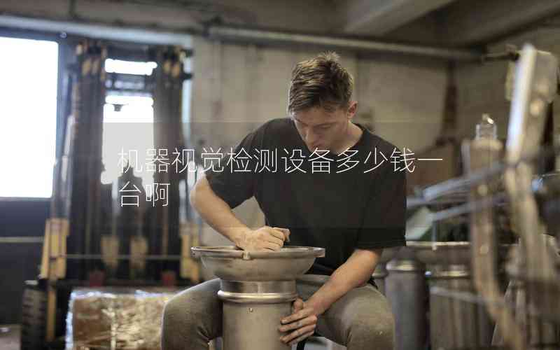 機(jī)器視覺檢測設(shè)備多少錢一臺啊