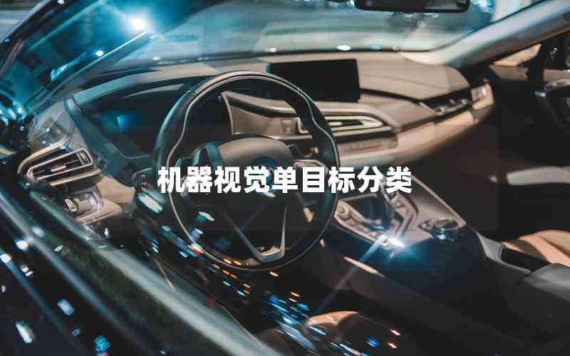 機器視覺單目標(biāo)分類