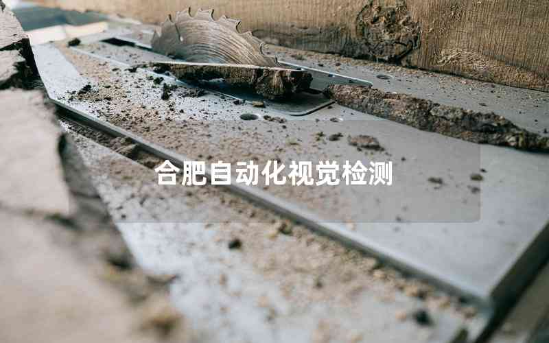 合肥自動(dòng)化視覺(jué)檢測(cè)
