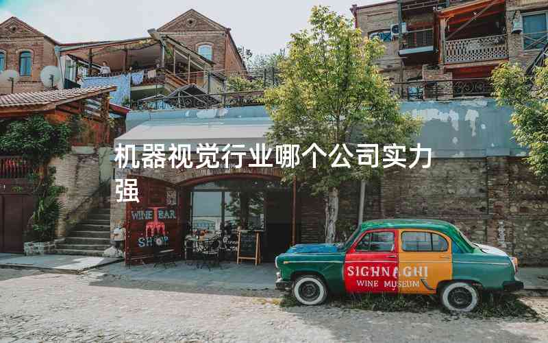 機(jī)器視覺行業(yè)哪個公司實力強(qiáng)