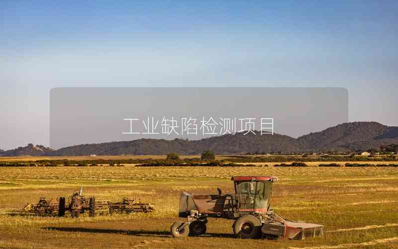 工業(yè)缺陷檢測(cè)項(xiàng)目