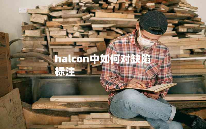 halcon中如何對(duì)缺陷標(biāo)注