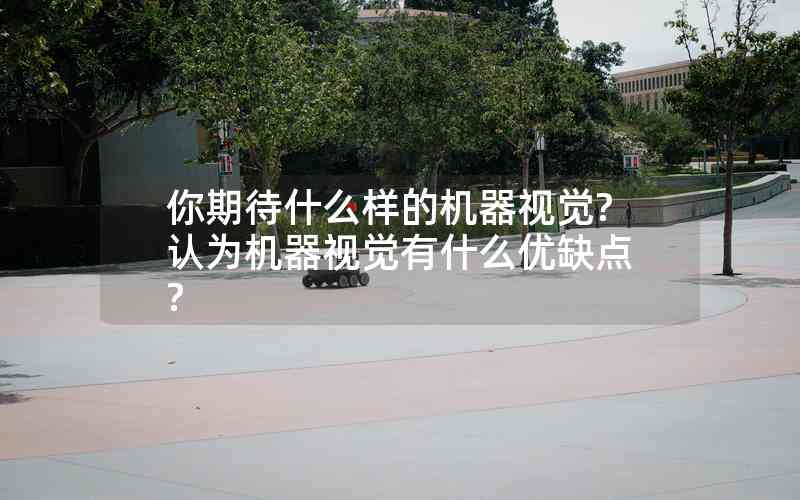 你期待什么樣的機(jī)器視覺?認(rèn)為機(jī)器視覺有什么優(yōu)缺點(diǎn)?