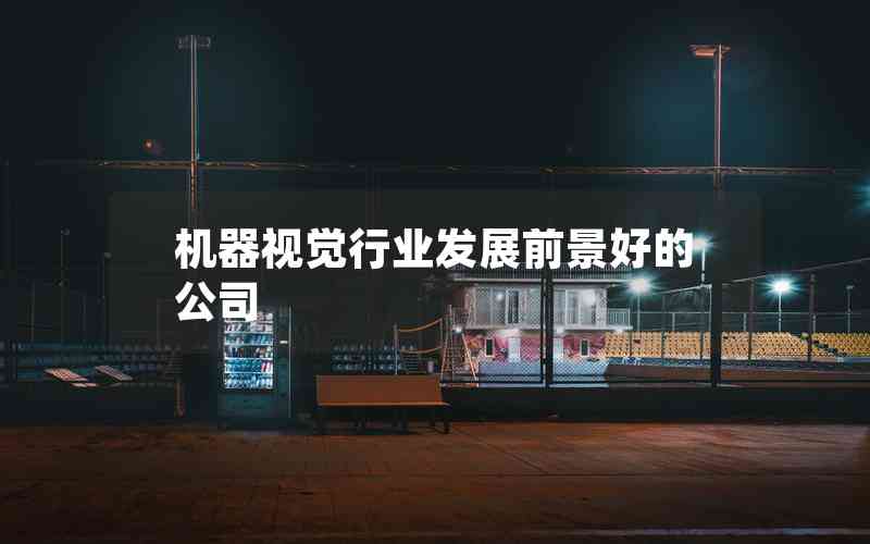 機(jī)器視覺行業(yè)發(fā)展前景好的公司