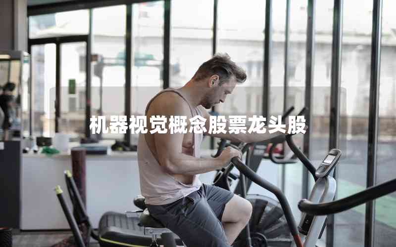 機(jī)器視覺概念股票龍頭股