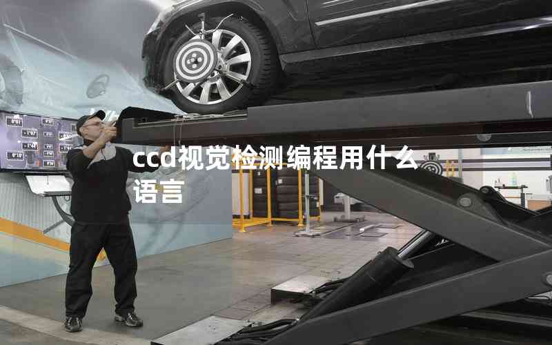 ccd視覺檢測編程用什么語言