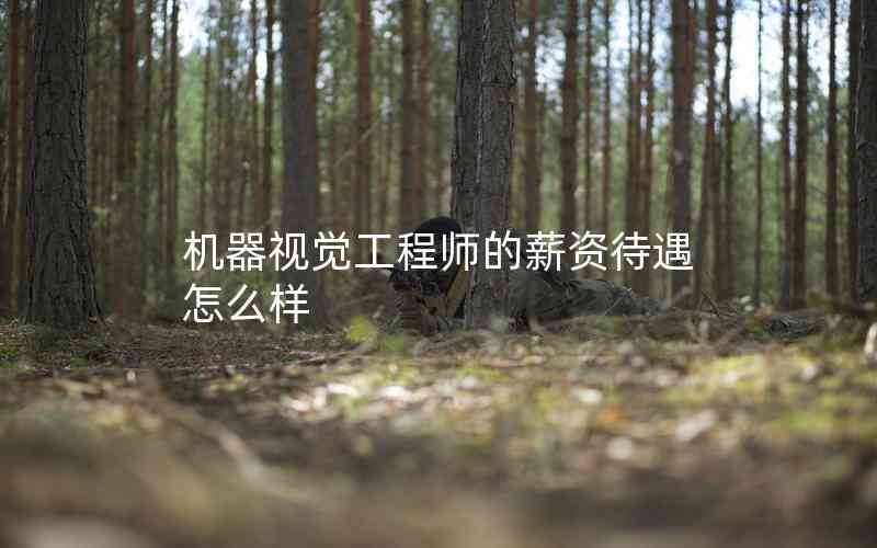 機(jī)器視覺(jué)工程師的薪資待遇怎么樣