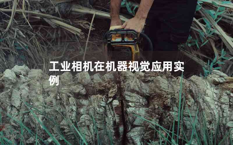 工業(yè)相機(jī)在機(jī)器視覺應(yīng)用實(shí)例