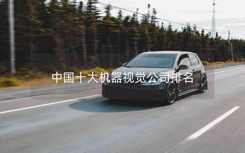 中國十大機(jī)器視覺公司排名