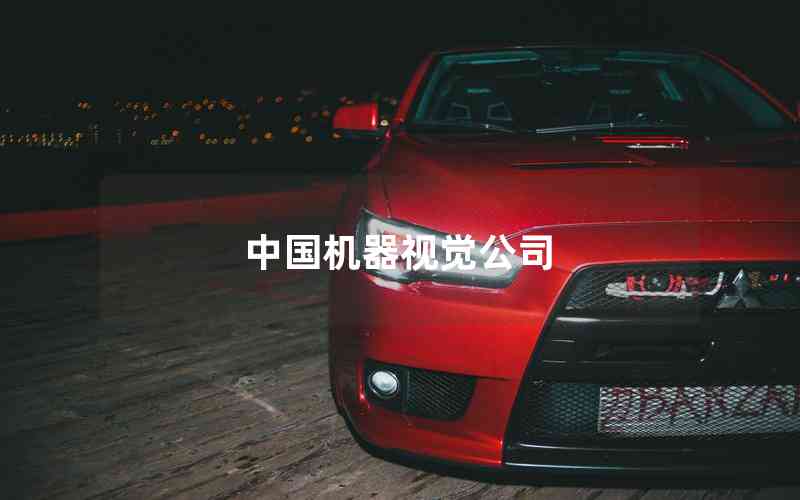 中國(guó)機(jī)器視覺(jué)公司