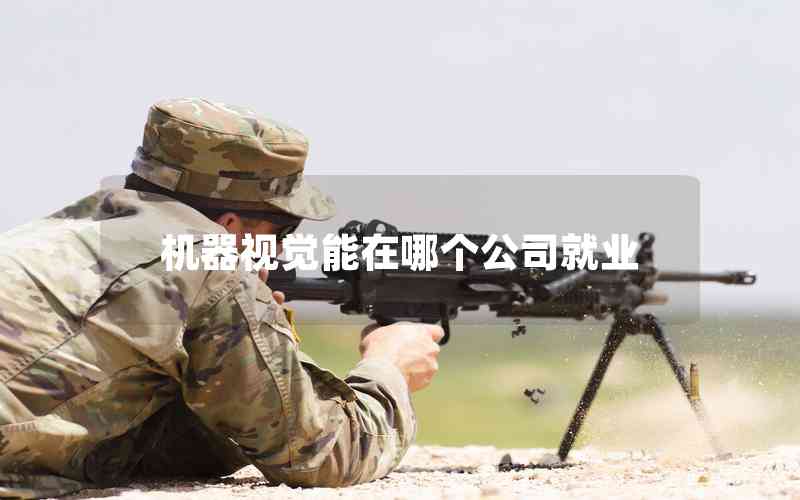 機(jī)器視覺能在哪個公司就業(yè)