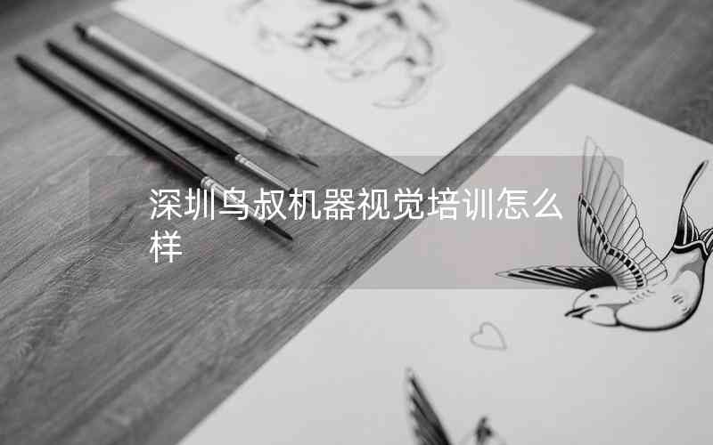 深圳鳥(niǎo)叔機(jī)器視覺(jué)培訓(xùn)怎么樣