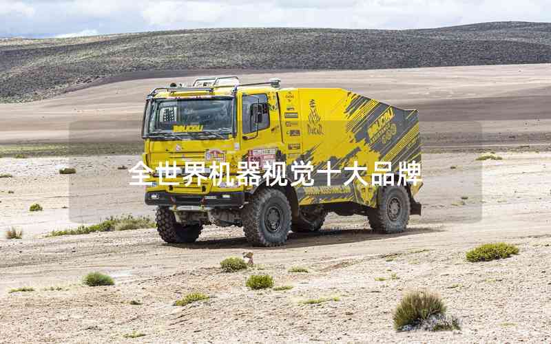 全世界機(jī)器視覺十大品牌