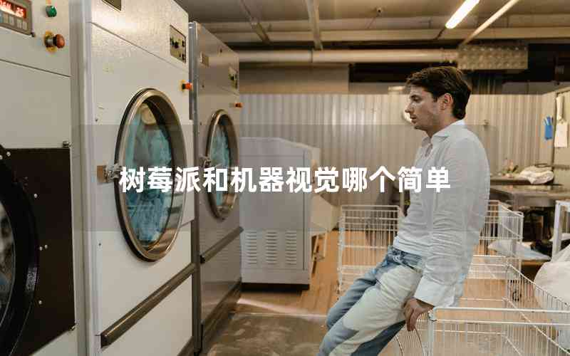 樹莓派和機器視覺哪個簡單