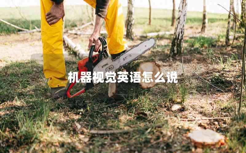 機(jī)器視覺英語怎么說