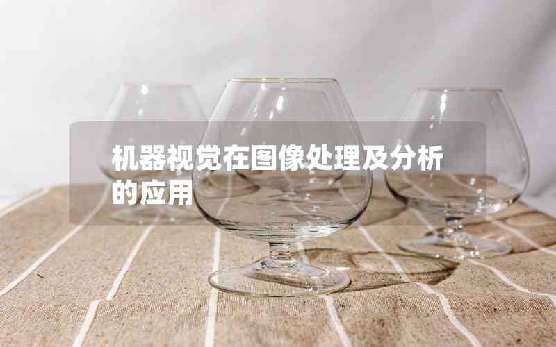 機(jī)器視覺在圖像處理及分析的應(yīng)用